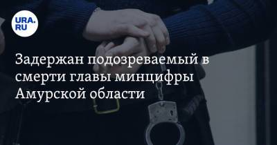Задержан подозреваемый в смерти главы минцифры Амурской области