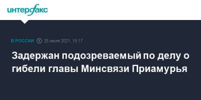 Задержан подозреваемый по делу о гибели главы Минсвязи Приамурья