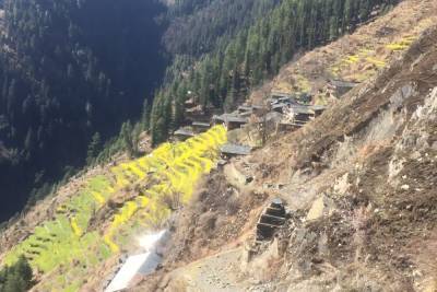 Девять туристов погибли в Индии при обвале на горной дороге