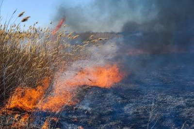 МЧС: три пожароопасных днях ждут Волгоградскую область