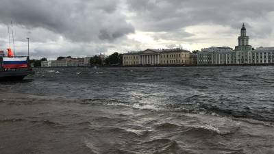 МЧС предупредило об усилении ветра и огромных волнах в Санкт-Петербурге