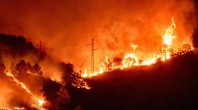 В трех регионах Испании вспыхнули лесные пожары