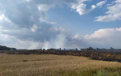 На Черниговщине пожар на пшеничном поле