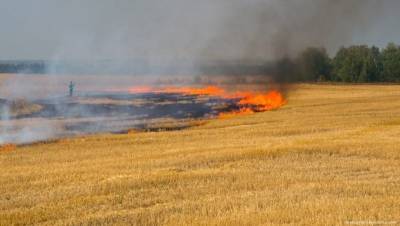Пожар на Черниговщине охватил 55 га хозяйственного поля