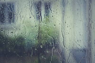В понедельник жителей Ленобласти ждут небольшой дождь и до +30 °C