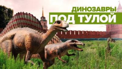 Динозавры «притулились»: недостроенный парк аттракционов под Тулой стал популярен в интернете