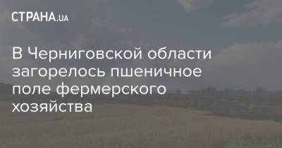 В Черниговской области загорелось пшеничное поле фермерского хозяйства