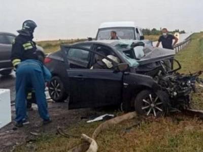 Двое погибли, двое пострадали: дончанин спровоцировал ДТП на трассе Волгоград – Сальск