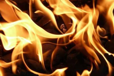Кейт Браун - В США ожидают роста масштабов природных пожаров из-за изменения климата - mk.ru - USA - штат Орегон