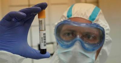 Ученые начнут быстрее отслеживать мутации коронавируса