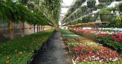 Город Санья на Хайнане к октябрю 2022 года создаст передовой центр карантина растений - trend.az - Санья
