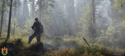 Стала известна возможная причина пожара, который разгорелся в километре от деревни в Карелии