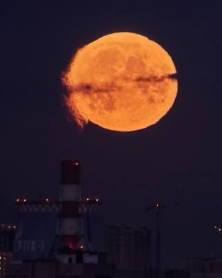 Вою на луну: фото прекрасной спутницы Земли было сделано в Санкт-Петербурге