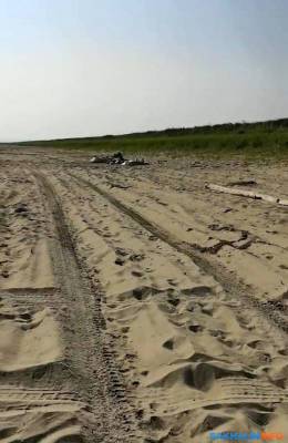 Сахалинцы сообщают о теле, которое два дня лежит на пляже