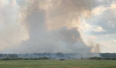 Запах гари в Тюмени может быть связан с лесными пожарами в Ялуторовском районе