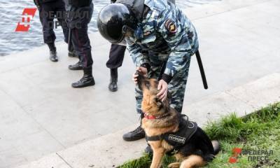 Жителя Новосибирска задержали за финансирование террористов