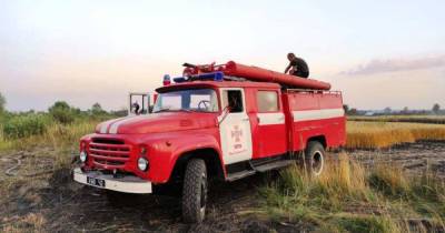 На Черниговщине сгорело более 50 гектаров пшеницы (ФОТО)