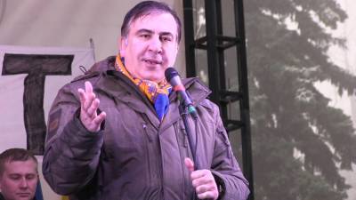 Саакашвили предложил Украине разрабатывать собственные ресурсы после запуска "СП-2"