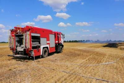Пожар на полях: в Николаевской области сгорело почти пять гектаров пшеницы