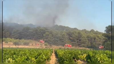 Лесные пожары бушуют в Европе - ru.euronews.com - Россия - Франция - Испания - Французская Полинезия - Spain