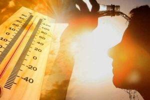 Украинцам прогнозируют жару