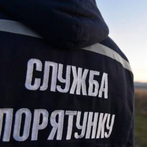 В Запорожском районе на пожаре погиб 67-летний мужчина - reporter-ua.com - Запорожье - район Запорожский