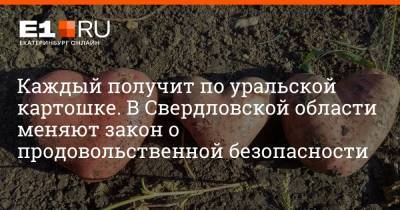 Каждый получит по уральской картошке. В Свердловской области меняют закон о продовольственной безопасности