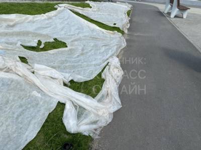 Кемеровчанка пожаловалась на опасный газон на детской площадке