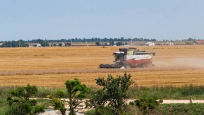 Кубань поставила исторический рекорд по сбору урожая