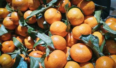 Специалисты сургутского Россельхознадзора сожгли 20 килограмм фруктов из Таджикистана