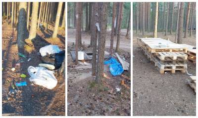 После слета байкеров в карельском лесу остались мешки мусора