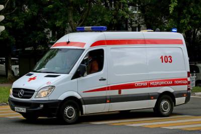 Пенсионер на Toyota сбил 5-летнего ребенка на Спартаковской в Брянске