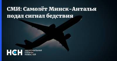 СМИ: Самолёт Минск-Анталья подал сигнал бедствия