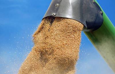 На экспорт ушло почти 1,8 млн т украинского зерна