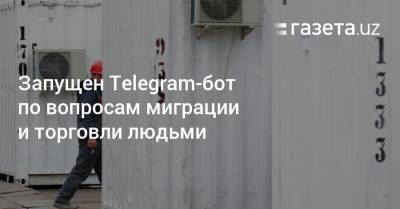 Запущен Telegram-бот по вопросам миграции и торговли людьми