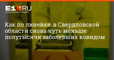 Как по линейке: в Свердловской области снова чуть меньше полутысячи заболевших ковидом