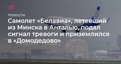 Самолет «Белавиа», летевший из Минска в Анталью, подал сигнал тревоги и приземлился в «Домодедово»
