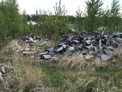 Около 40 несанкционированных свалок ликвидируют в Ленинском районе - vgoroden.ru - Нижний Новгород - Благоустройство