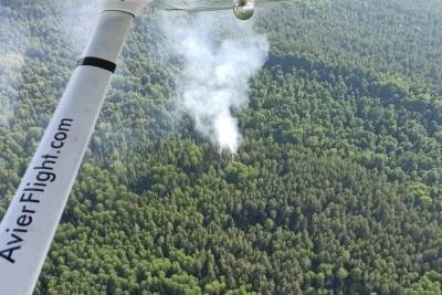 В лесах Марий Эл до 30 июля сохраняется высокая пожароопасность