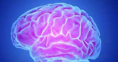 «Мозг стареет на 10 лет»: как COVID-19 влияет на интеллект