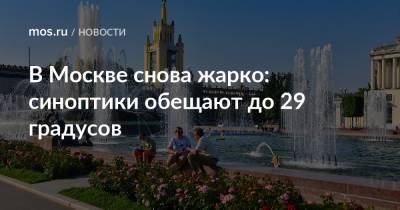 В Москве снова жарко: синоптики обещают до 29 градусов