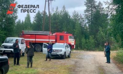 Глава Карелии объяснил увеличившуюся площадь лесных пожаров