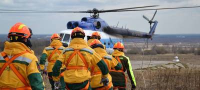 Власти Карелии рассказали о роли авиации при тушении лесных пожаров