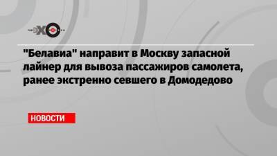 «Белавиа» направит в Москву запасной лайнер для вывоза пассажиров самолета, ранее экстренно севшего в Домодедово