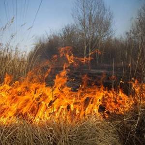 Запорожцев предупреждают о высокой пожарной опасности в ближайшие два дня