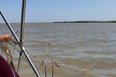 Более 20 километров береговой линии озера Ханка очистили от мусора