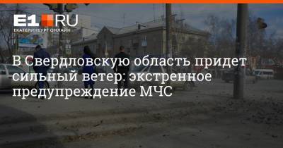 В Свердловскую область придет сильный ветер: экстренное предупреждение МЧС