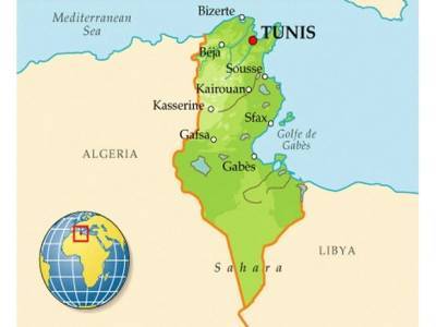 Граждане РФ, находящиеся в Тунисе, не обращались к дипломатам за помощью
