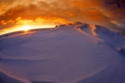 Ученые нашли в Антарктиде место без признаков жизни