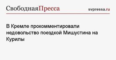 В Кремле прокомментировали недовольство поездкой Мишустина на Курилы